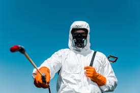 Emergency Pest Control Services in Kingwood, WV